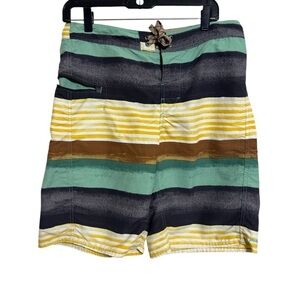 Patagonia 
M's Printed Wavefarer Board Shorts